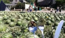 朝阳吃瓜群众,揭秘京城街头的热辣话题与趣味生活